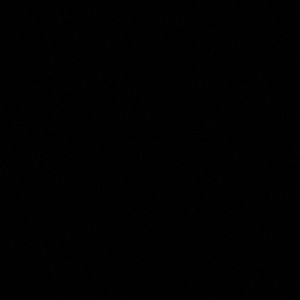 Meet your Posher, Zaydy